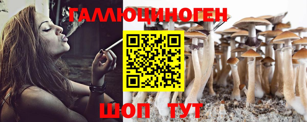 Псилоцибиновые грибы Cubensis  Вход с VPN  Галлюциногенные грибы прущие грибы  Михайловка 